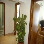 Living apartament