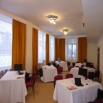 Salon Galben