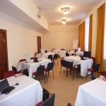 Salon Galben